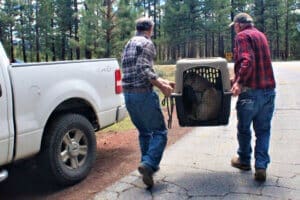 Community member and John carrying captured dumped dog in crate