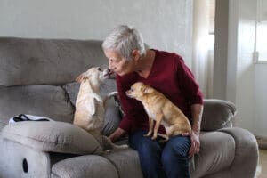 Foster a Dog, Linda Shortt fostering seniors