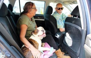 Foster a dog, Diva going on field trip with day fosters Marni and Chris