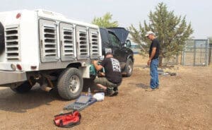 Rescue Ranch volunteer, Nick Krizman and friends working on transport generator during fire