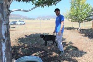 Ari walking a Rescue Ranch dog