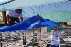 Team member, Ari and Rick attaching shade cloth to kennel , Lava Fire