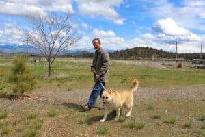 Heartworm treatment_ recovered Robbie tugging leash excited to be on walk with Adoption Center Manager Rick Formanek