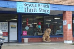 Thrift store front