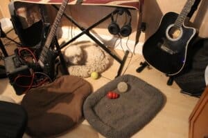 Winter blues,Steve watches his 3 collected toys from neighboring dog bed