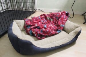 Dog bed and blanket