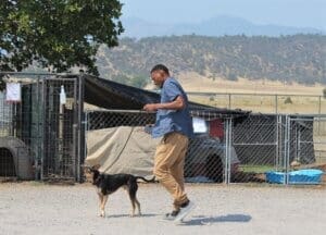 Mill fire evacuee intake at Rescue Ranch