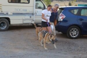 Mill fire evacuee intake at Rescue Ranch