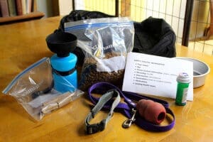 Emergency preparedness, Sample Doggy Go-bag