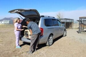 Emergency preparedness, Mill fire evacuee arriving with dogs in crates