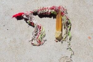 Linear foreign objects, Frayed rope toy 2