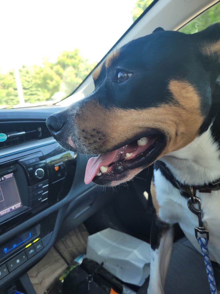 349140925_618888746863702_7137059656813384197_n