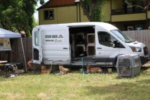 Dog adoptions, Rescue Ranch dogs in crates next to RR van