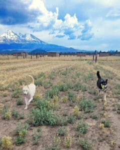 Gina and Hanna out in Sanctuary yard