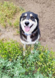 Hanna sitting smiling for the camera