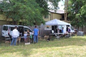 Dog adoptions, Rescue Ranch Team set up on the lawn