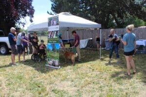 Dog adoptions, Sanctuary one tent and teble with visitors