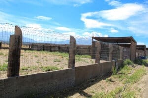 Sanctuary_Curved High Fence and wood dividers