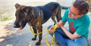 Unconditional love, Mack standing next to Ali