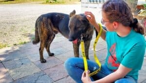 Unconditional love,Ali about to pet Mack