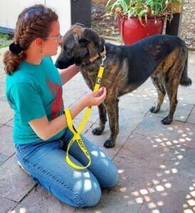 Unconditional love, Mack Facing Ali getting cuddle and treat