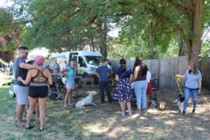 Puppy pool party and adoption event_crowd around RR puppy pen