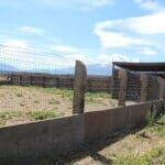 Extra high escape prevention fencing