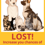 Lost dog or cat, increase your chances at being reunited graphic