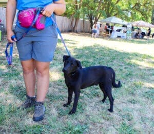 Adoption event, Potter on leash