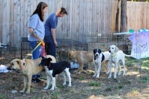 Red Dog Pet Supply Puppy Pool and Adoption Event, RR pup, with Karen Topping and Volunteer