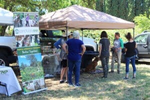 Sanctuary One at Red Dog Pet Supply Puppy Pool and Adoption Event