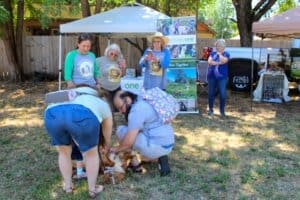 Sanctuary One Dog getting belly rub at Red Dog Pet Supply Puppy Pool and Adoption Event