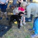 Red Dog Pet supply store manager Patricia's new adoption, Walt meeting event participant.