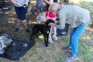 Red Dog Pet supply store manager Patricia's new adoption, Walt meeting event participant.