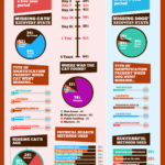 Lost dog and cat stats graphic from Purrfoods.com