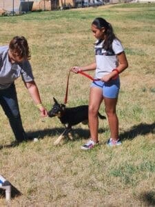 Dog socialization training camp_ Gabby and Dayana working with Pongo