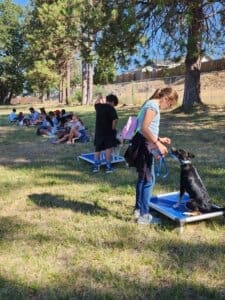 Dog socialization training camp_ Ponderosa learning to trust