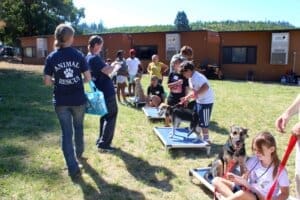 Dog socialization training camp_Karen Topping handing out graduation certificates