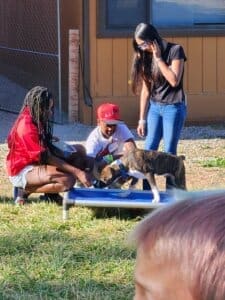 Dog socialization training camp_Leon, Sabrina, and friend with Peridot