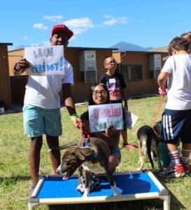 Dog socialization training camp_Leon and Sabrina with Peridot