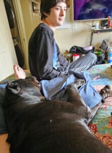 New family, Onyx lying on bed and adopter's son