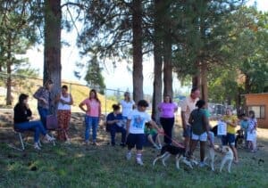 Dog socialization training camp_dogs and kids mingling with audience