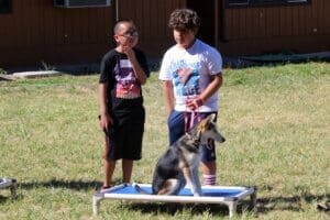 Dog socialization training camp_Prince and Christopher with Perdita calmly sitting on her cot