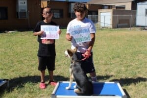 Dog socialization training camp_Prince and Christopher with Perdita