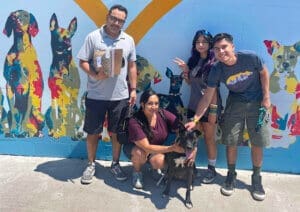 Abandoned Dog, Sage adoption picture