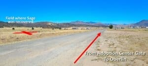 View of road from Gat towards Oberlin