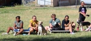 Dog socialization training camp_Rio and Pongo teams sitting on cots