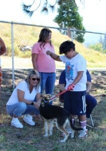 Dog socialization training camp_dogs and kids mingling with audience