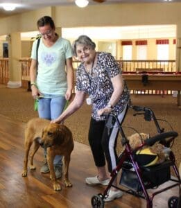 Fun day, Barbara #2 petting Tucker