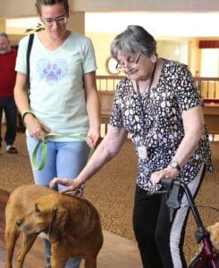 Fun day, Barbara #2 scratching Tucker's back